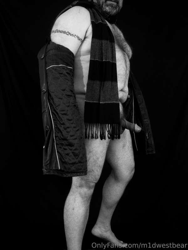 m1dwestbear image #2