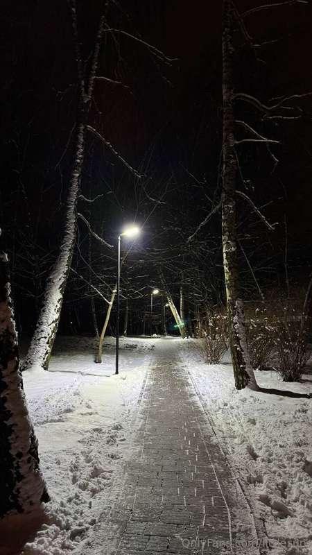 I always notice how much better I feel after a walk in the f..