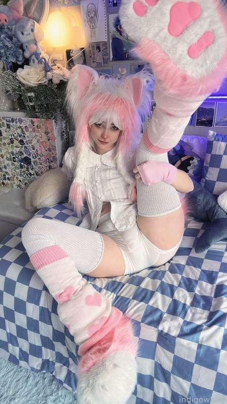indigowhite image #153