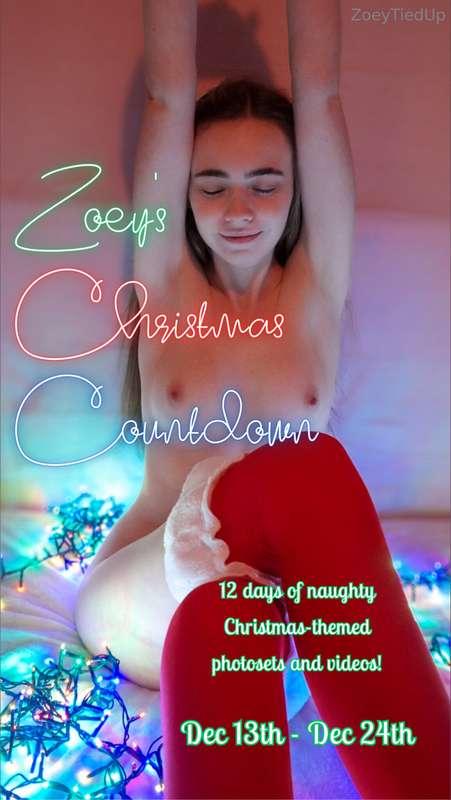 🎄Zoey's Christmas Countdown starts tomorrow!🎄For Christmas t..