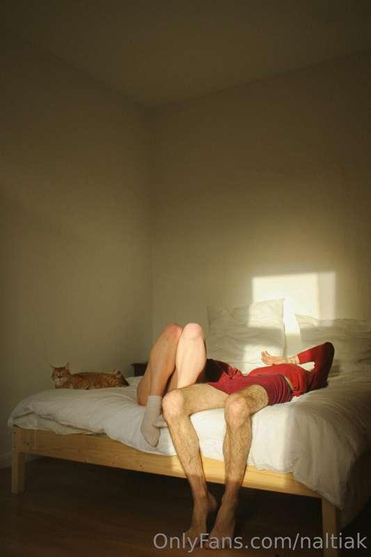 naltiak image #0
