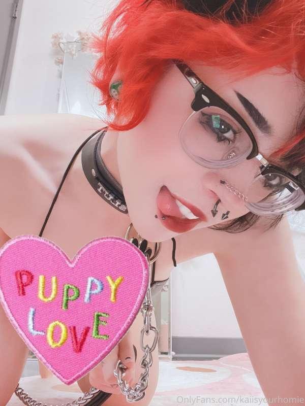 Finally the slutty puppy set you asked for 😮‍💨 this bikini i..