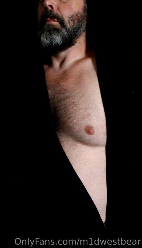 m1dwestbear image #13