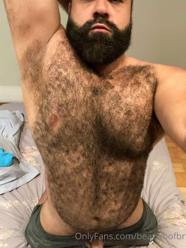 Come smell daddy bear's fur 🐽
Vem cheirar meus pelos  🐽