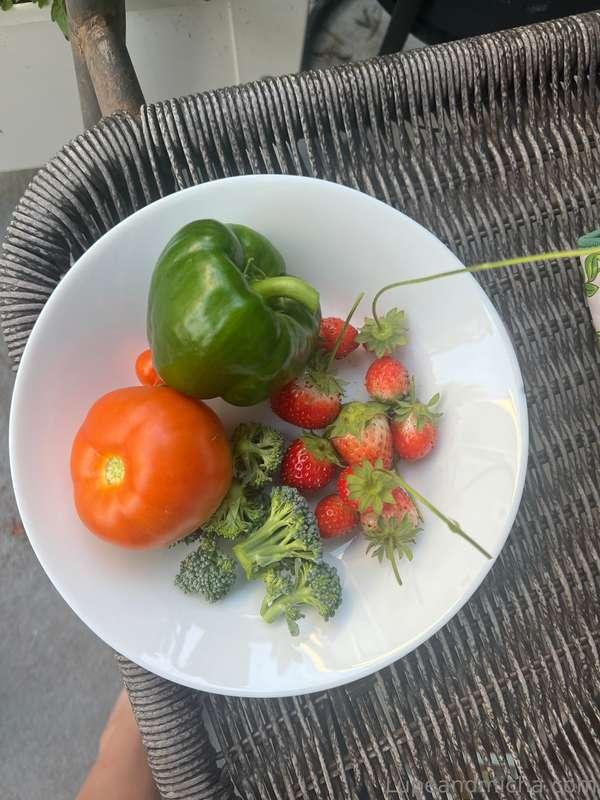 Another small harvest from my garden yesterday 🥰 just though..