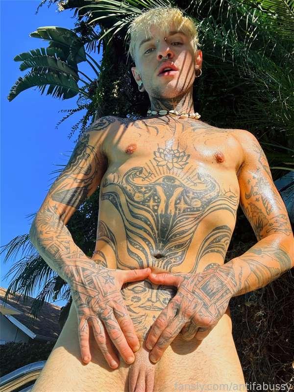 antifabussy image #4