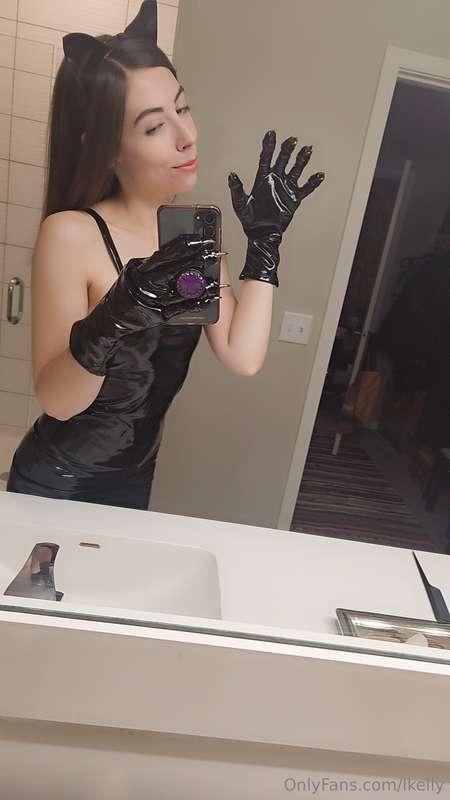 🐈‍⬛🐈‍⬛🐈‍⬛