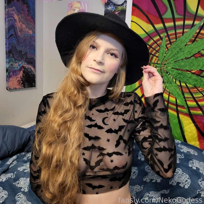 nekogodess image #1