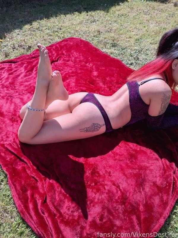 vixensdestiny image #1