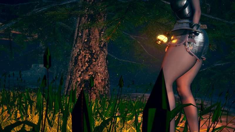 The forest at night