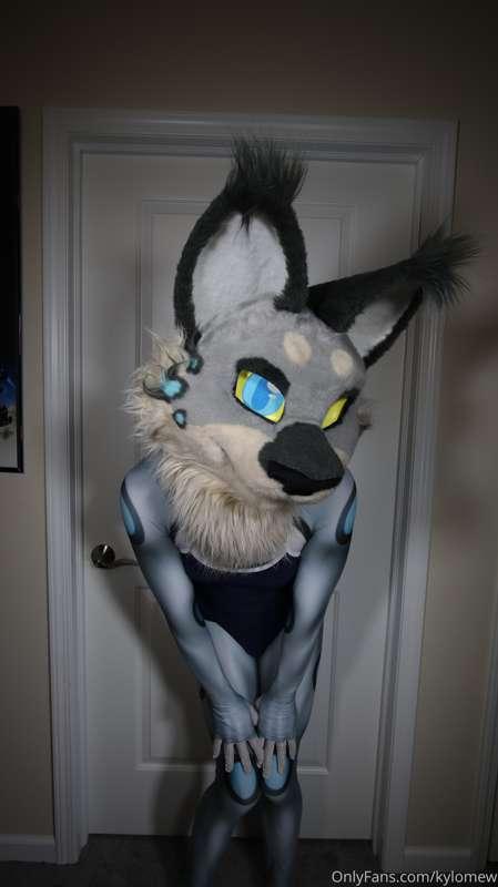 hey cutie~

how bout giving me a paw...or two ;3