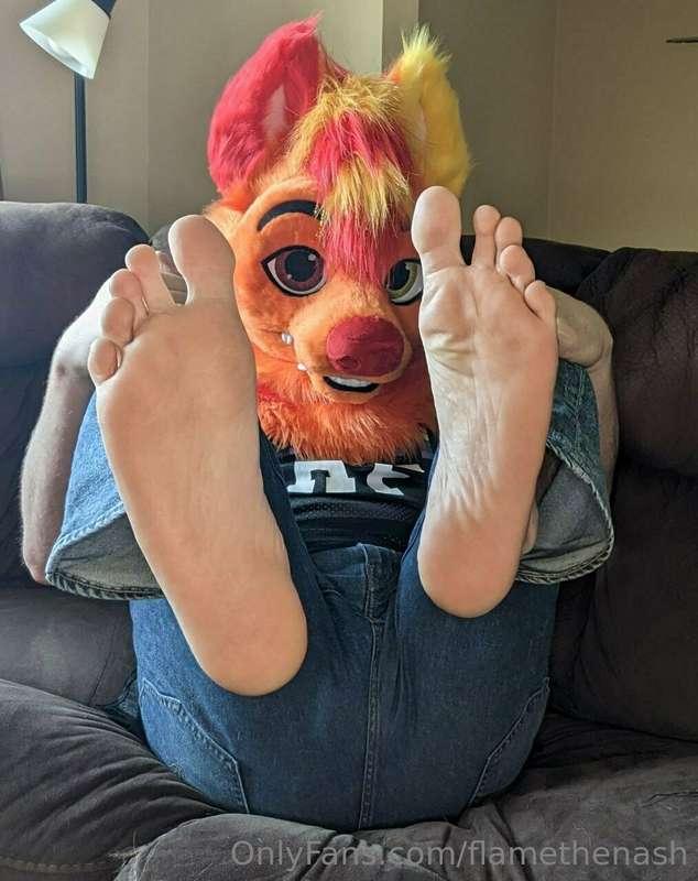 Flame shows off some paws 🐾