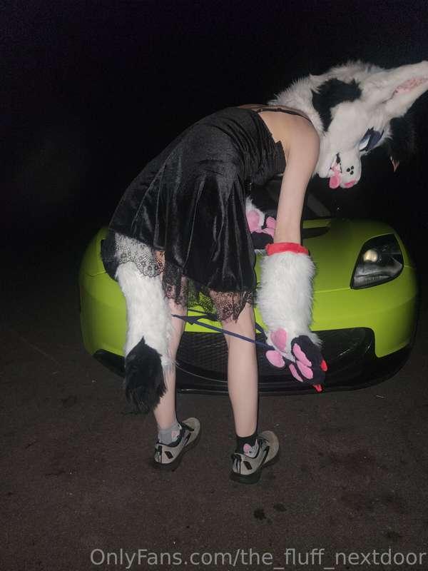 the_fluff_nextdoor image #7