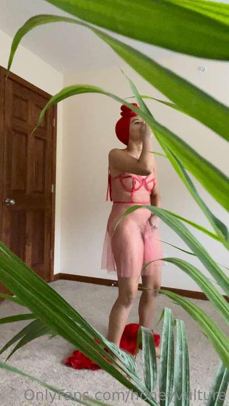 I love having to muffle my moans 🥵