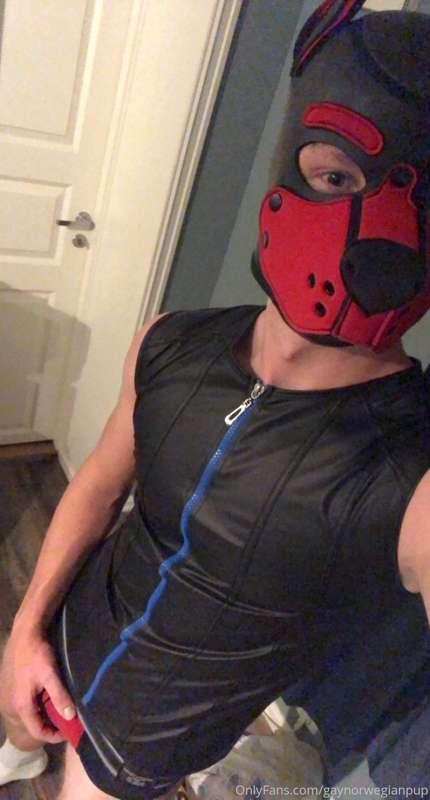 got myself a new vest😏 swipe for video and view from the bac..