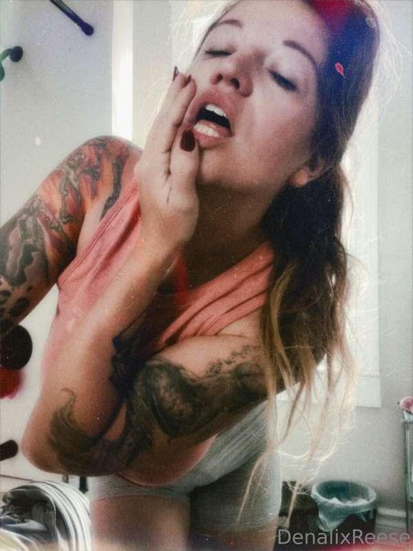 denalireese image #3