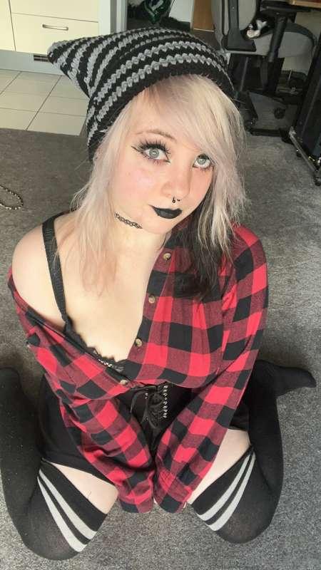 littlescarefox image #6