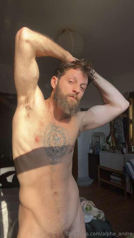 alpha_andre image #4