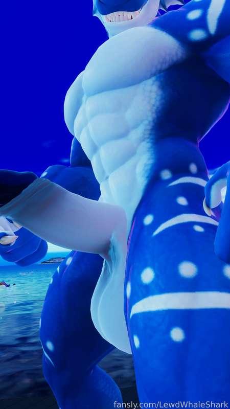 lewdwhaleshark image #1