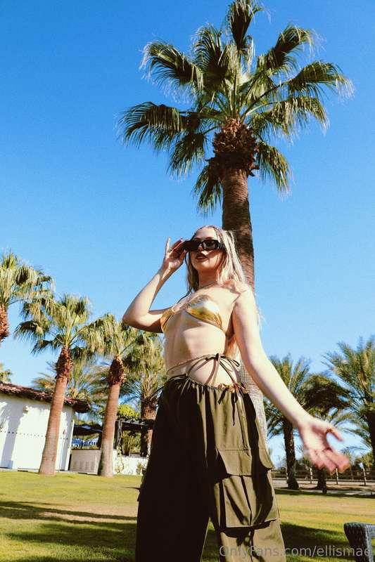 Palm trees can be dangerous watch out below