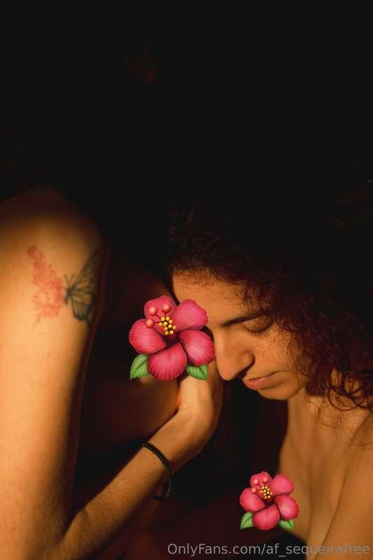 af_sequeirafree image #1