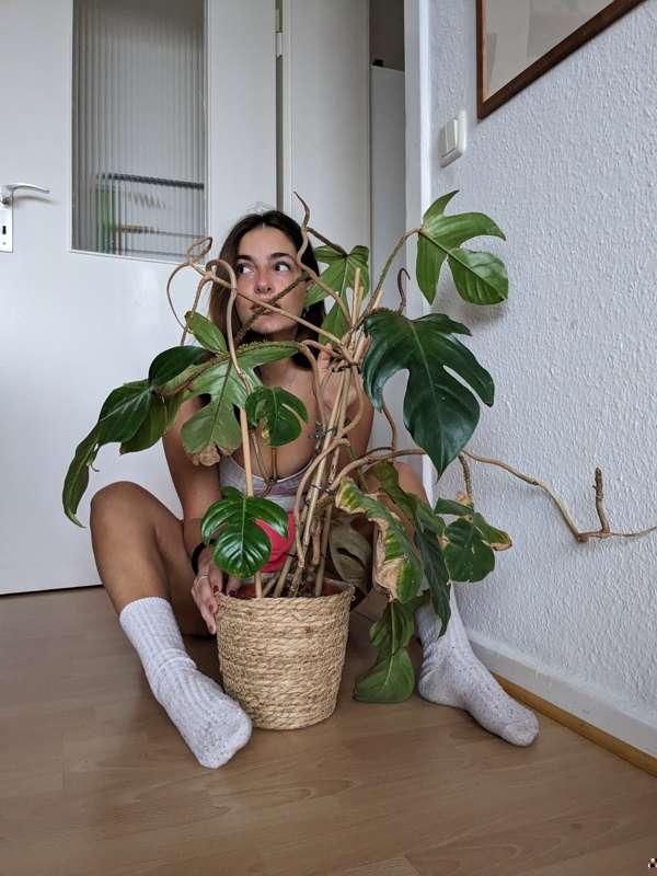 Play hide and seek 9