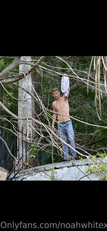 noahwhitexxx image #1