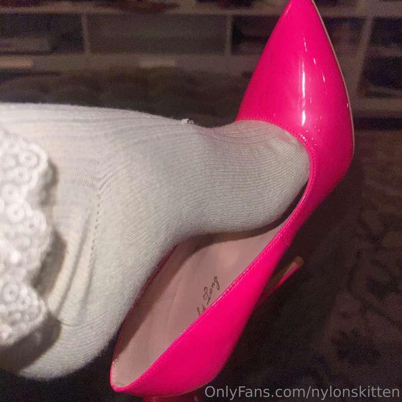 nylonskitten image #1