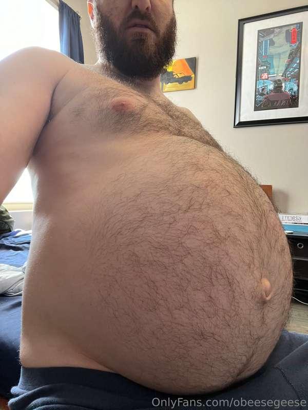 obeesegeese image #4