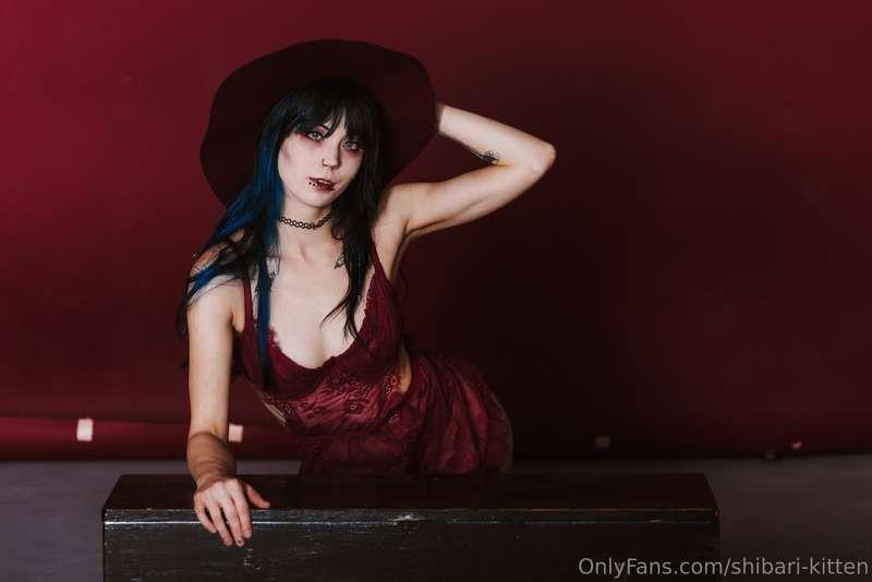 shibari-kitten image #7