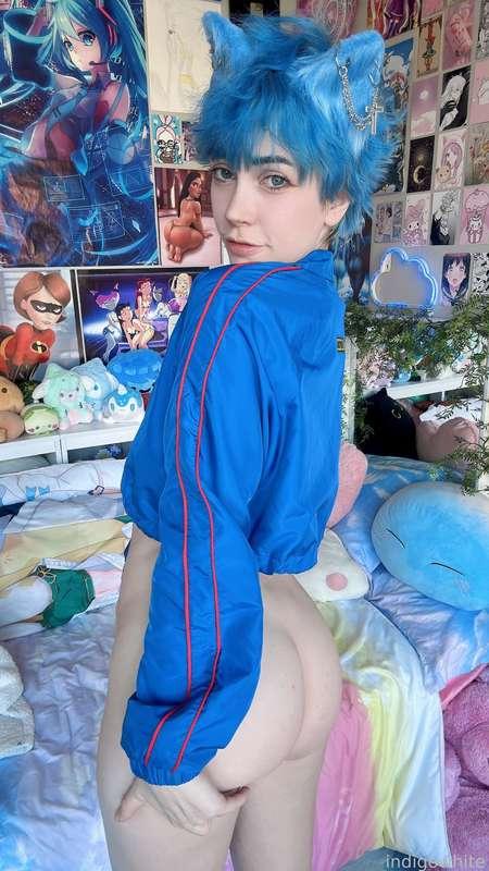 indigowhite image #186