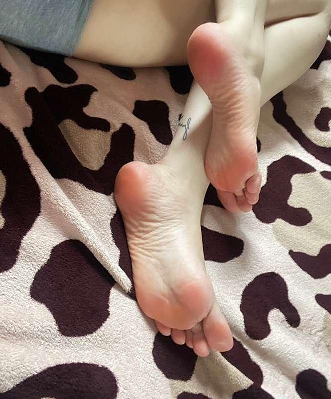 Lick. Lambe.