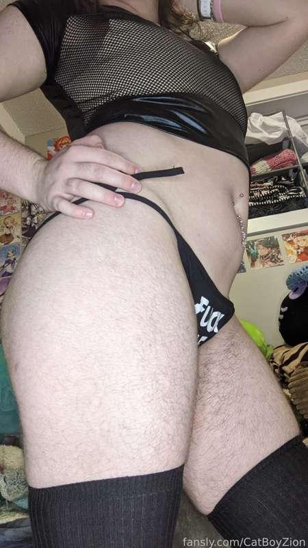 catboyzion image #5