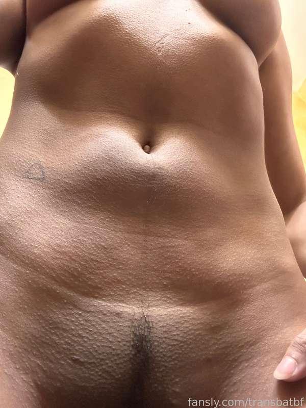transbatbf image #11