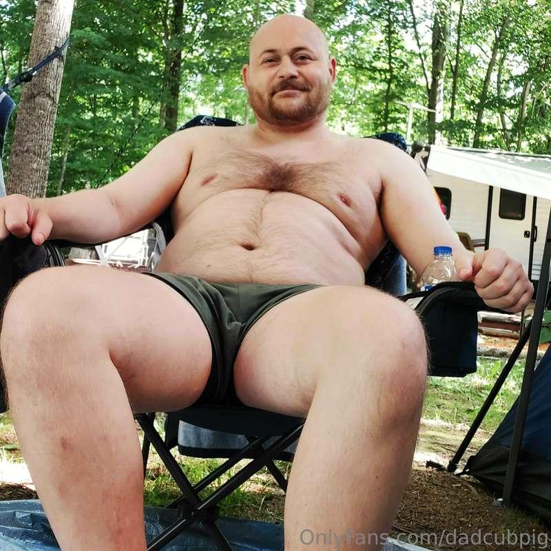 dadcubpig image #0
