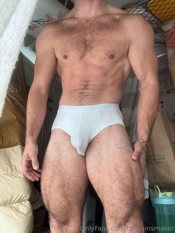 thegainsmaker image #1