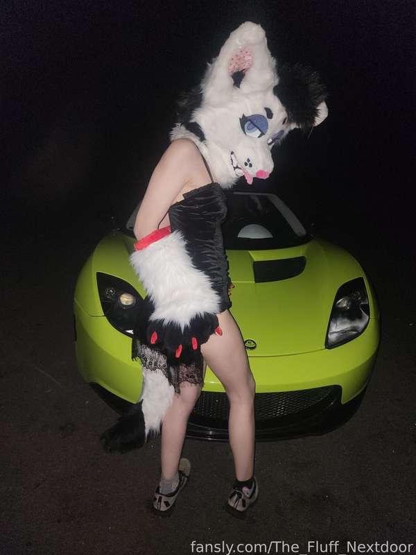 the_fluff_nextdoor image #7