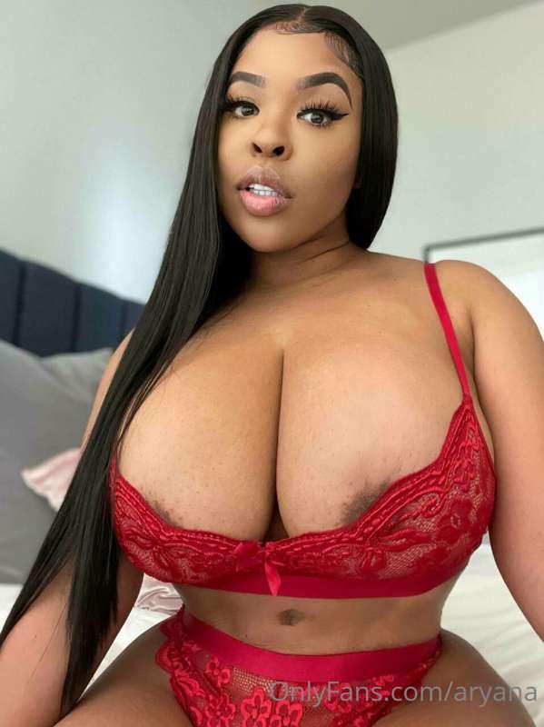 aryana main image