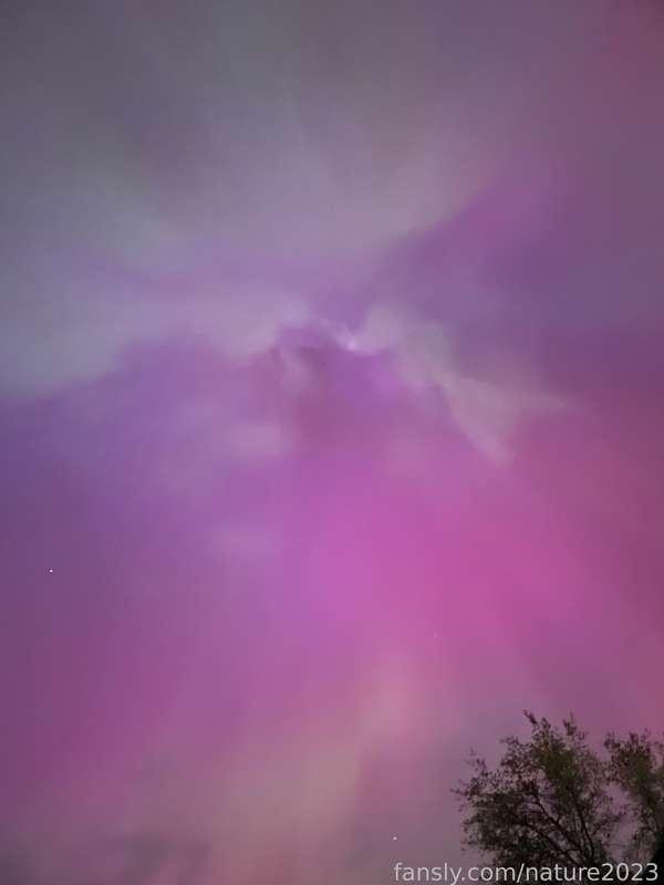 nature2023 image #9