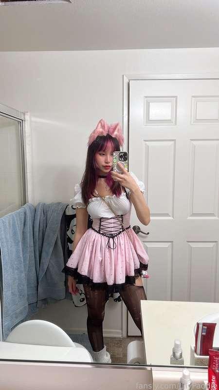 lilypaddie image #0