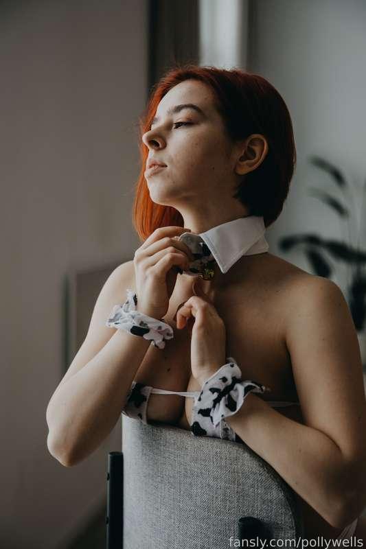 pollywells image #1