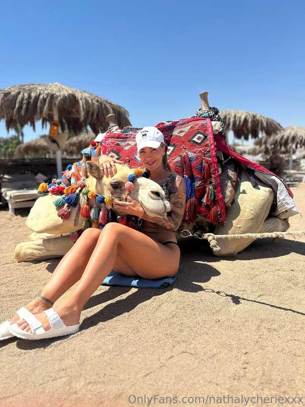 I have a new friend 😄🐪