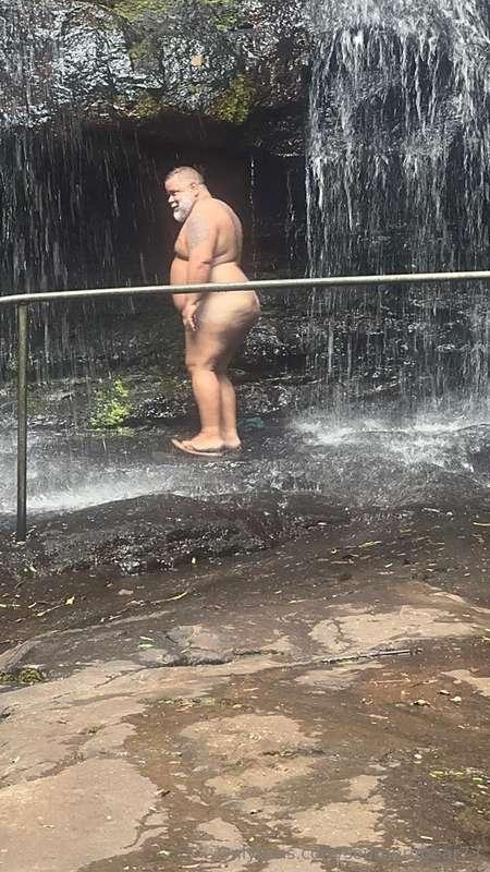 southernbear73 image #1