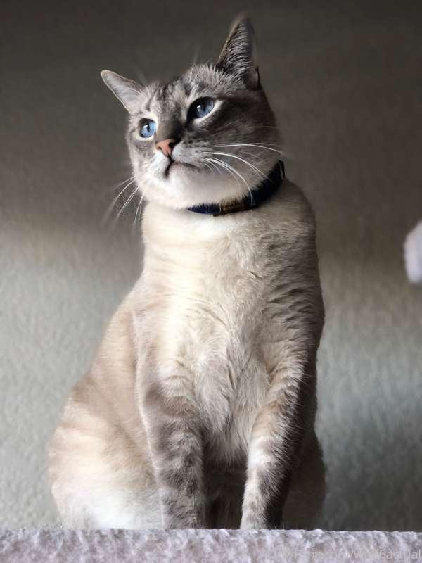 New photo of Prince!