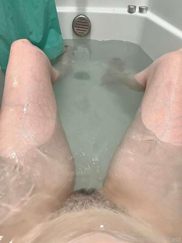 My bush is coming back 