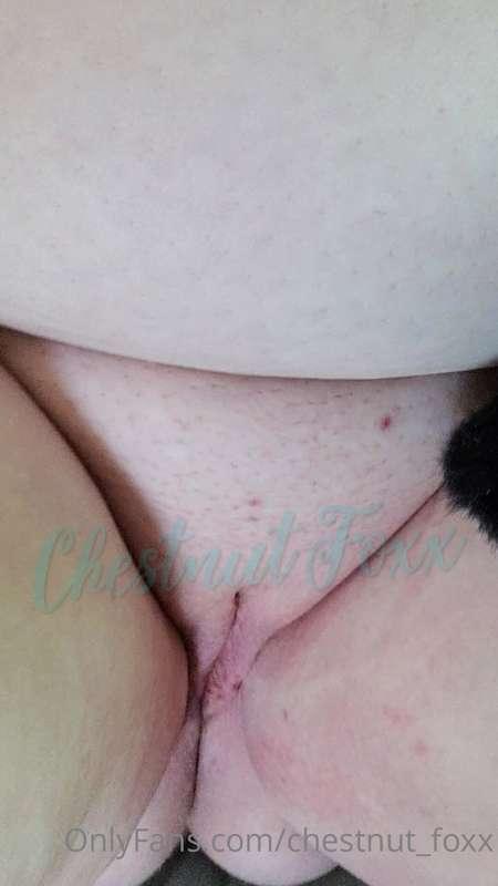 chestnut_foxx image #9