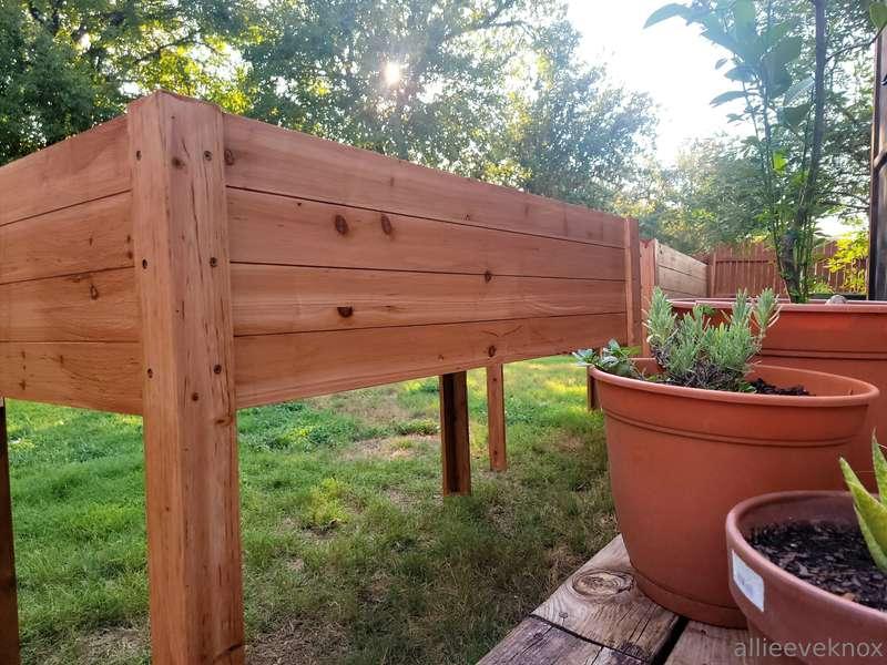 Built new planters for my fall garden.