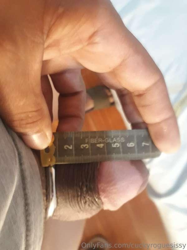 cuckyroguesissy image #23