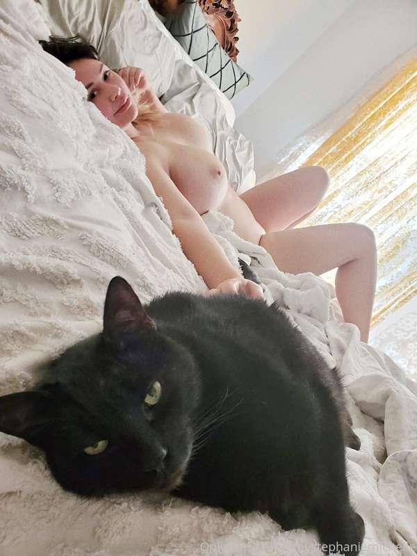 Cat nap! 😸