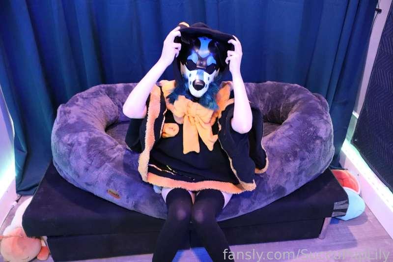 succupuplily image #9
